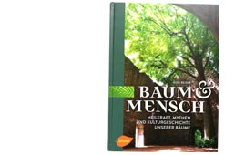 Baum und Mensch