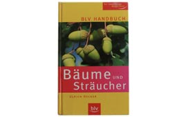 BLV Handbuch der Bäume und Sträucher