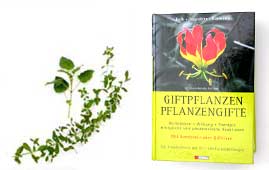 Giftpflanzen Pflanzengifte