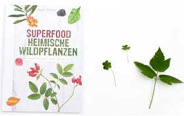 Superfood heimische Wildpflanzen